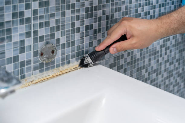 Best Preventive Mold Services in Rogersville, AL