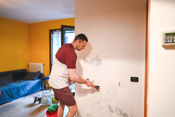 Best Mold Remediation for Specific Building Types in Rogersville, AL